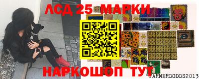 гашик Будённовск