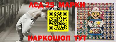 гашик Будённовск