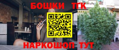 гашик Будённовск
