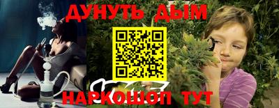 гашик Будённовск
