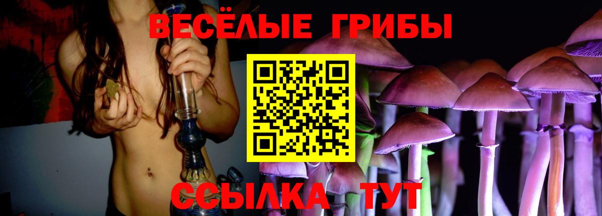 Галлюциногенные грибы MAGIC MUSHROOMS  Псилоцибиновые грибы прущие грибы  Вход с VPN  Набережные Челны 